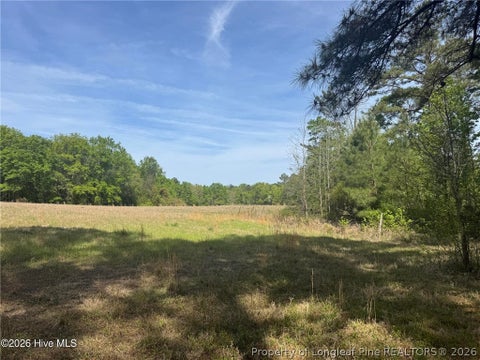 Tiny photo for 490 Springhill Church Road, Hamlet, NC 28345 (MLS # 768978)