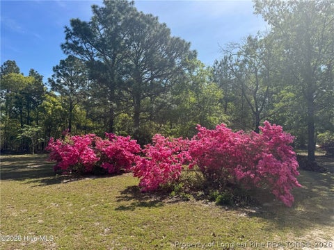 Tiny photo for 490 Springhill Church Road, Hamlet, NC 28345 (MLS # 768978)