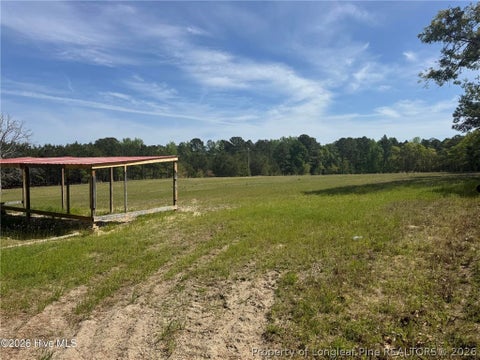 Tiny photo for 490 Springhill Church Road, Hamlet, NC 28345 (MLS # 768978)
