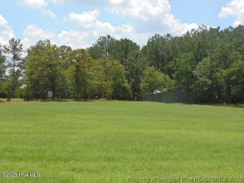 Tiny photo for 490 Springhill Church Road, Hamlet, NC 28345 (MLS # 768978)