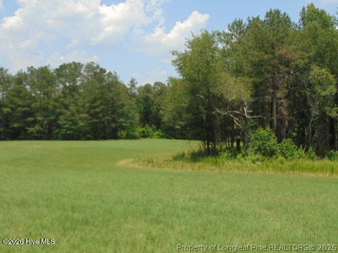Tiny photo for 490 Springhill Church Road, Hamlet, NC 28345 (MLS # 768978)