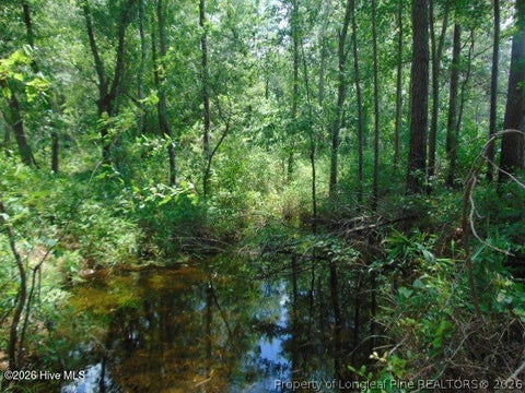 Tiny photo for 490 Springhill Church Road, Hamlet, NC 28345 (MLS # 768978)
