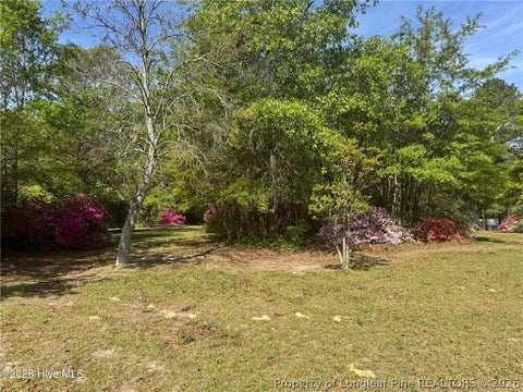 Tiny photo for 490 Springhill Church Road, Hamlet, NC 28345 (MLS # 768978)