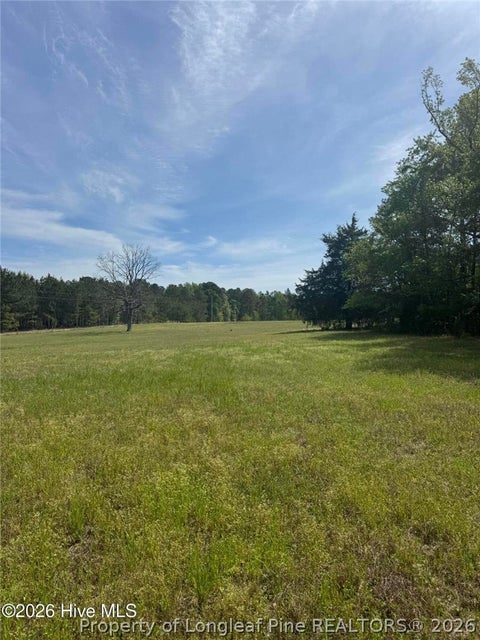 Tiny photo for 490 Springhill Church Road, Hamlet, NC 28345 (MLS # 768978)