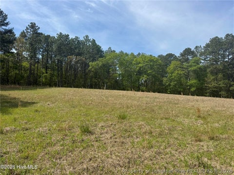 Tiny photo for 490 Springhill Church Road, Hamlet, NC 28345 (MLS # 768978)