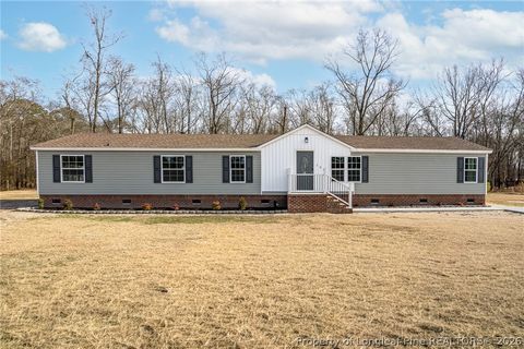 Photo of 106 Aquarian Drive, Lumber Bridge, NC 28357 (MLS # 757713)