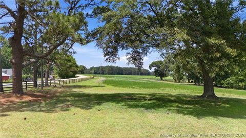 Photo of 1870 Mccormick Road, Sanford, NC 27332 (MLS # 764605)