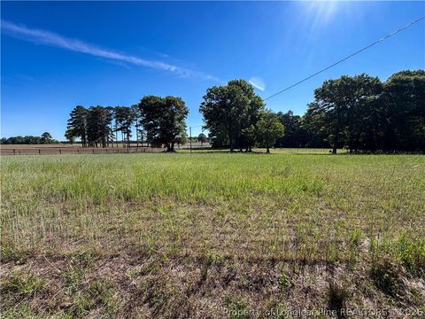Tiny photo for 1870 Mccormick Road, Sanford, NC 27332 (MLS # 764605)