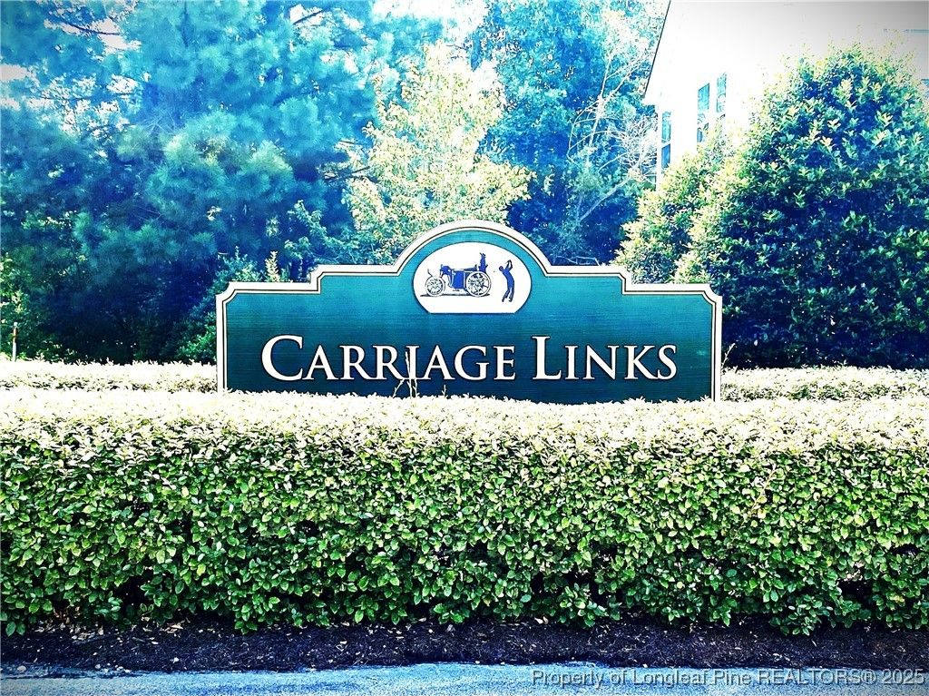 Photo of 175 Pine Hawk Drive, Spring Lake, NC 28390 (MLS # 748816)