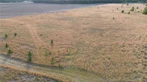 Photo of Lot 1 Fairley Road, Maxton, NC 28364 (MLS # 762270)