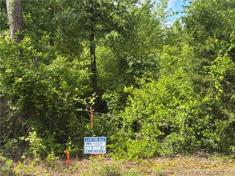 Photo of Johnson Road, Fayetteville, NC 28312 (MLS # 763600)