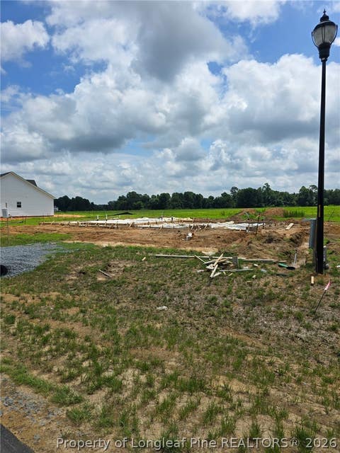 Tiny photo for 118 Margot Manor Drive, Benson, NC 27504 (MLS # 767319)