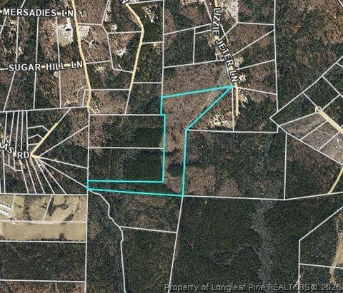 Photo of 0 Lizzie Jeter Lane, Cameron, NC 28326 (MLS # 766390)