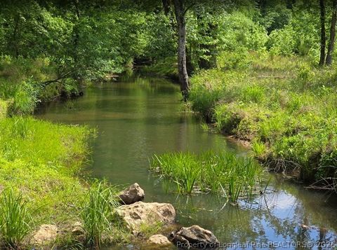 Tiny photo for 611 Old E C Womack Road, Sanford, NC 27330 (MLS # 762757)