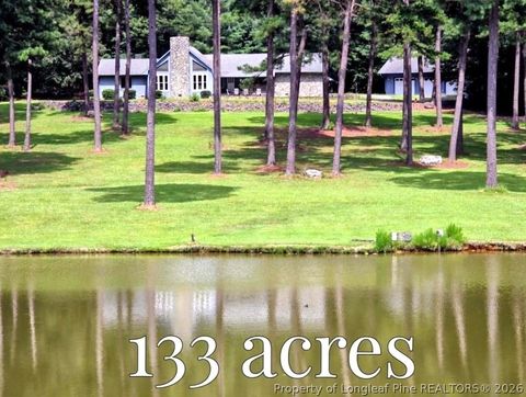 Photo of 611 Old E C Womack Road, Sanford, NC 27330 (MLS # 762757)
