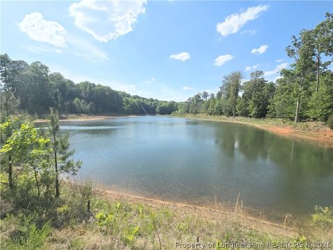 Tiny photo for 611 Old E C Womack Road, Sanford, NC 27330 (MLS # 762757)