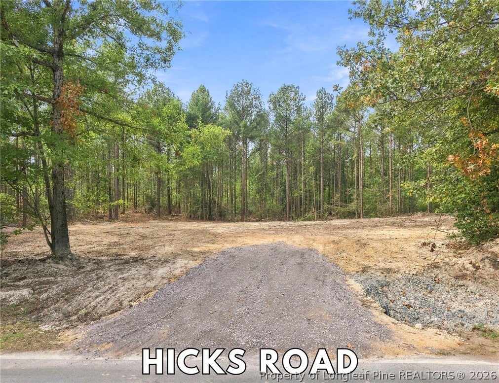 Lot 3 Capelsie Road