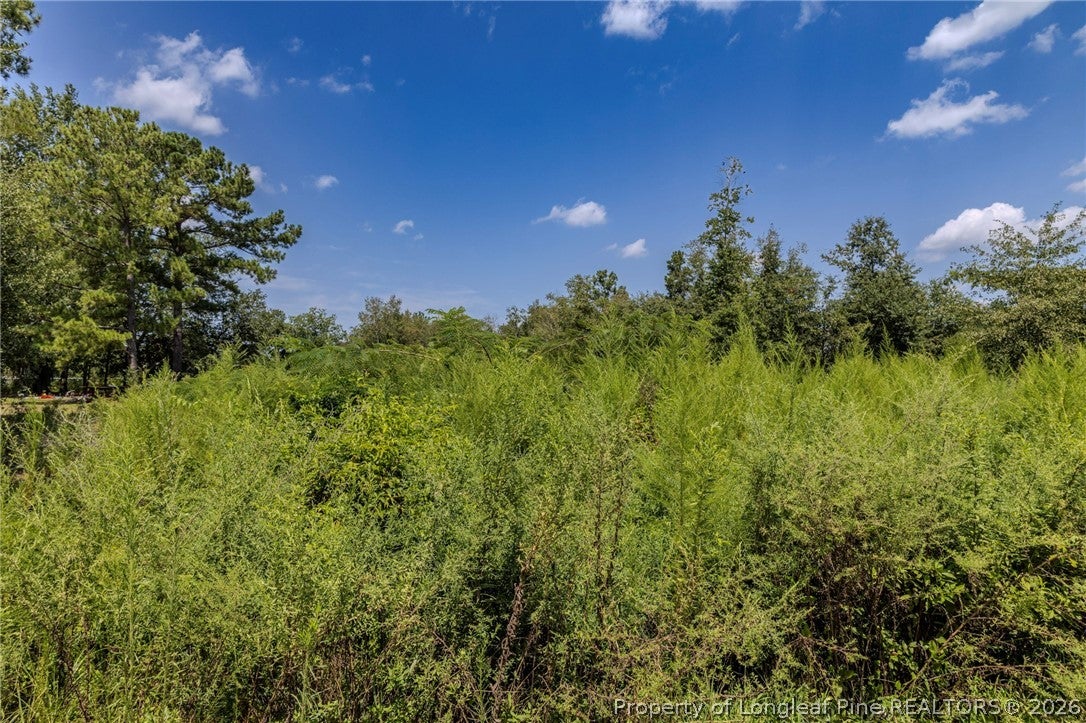 546 Pearsall Road