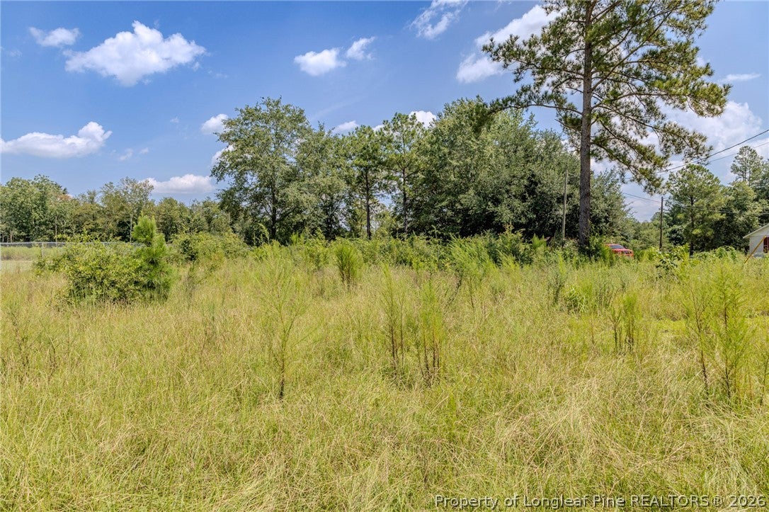 546 Pearsall Road