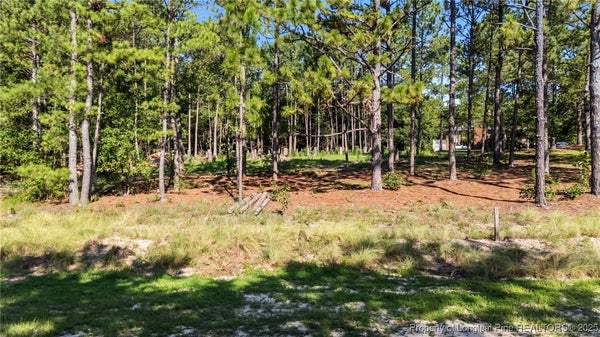 180 RICHMOND ST, WEST END, NC 27376 - Image fbd1c5bc12c52845f88ae82fb2473e3a/1796661063