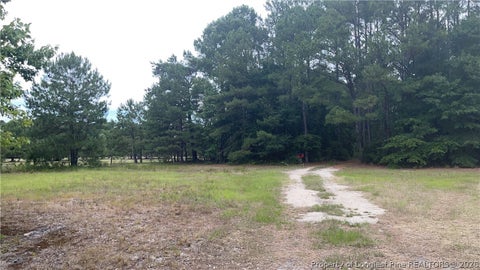 Tiny photo for Sanderosa (0477-88-0601) Road, Fayetteville, NC 28312 (MLS # 768391)