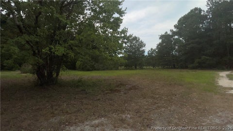 Photo of Sanderosa (0477-88-0601) Road, Fayetteville, NC 28312 (MLS # 768391)