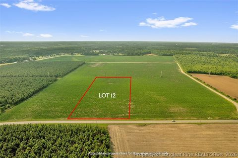 Photo of 00 Old Wire (Lot 12) Road, Shannon, NC 28386 (MLS # 764235)