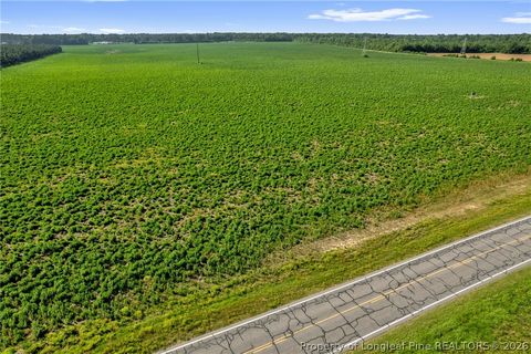 Tiny photo for 00 Old Wire (Lot 12) Road, Shannon, NC 28386 (MLS # 764235)