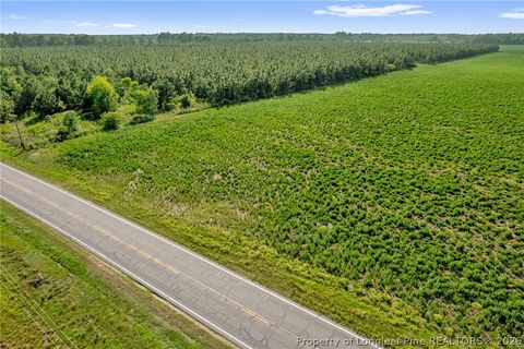 Tiny photo for 00 Old Wire (Lot 12) Road, Shannon, NC 28386 (MLS # 764235)