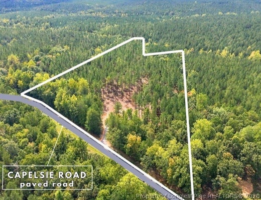 LOT 1 CAPELSIE ROAD, CANDOR, NC 27229 - Image fd419f0396ce73fbc27d968c0424a977/440020994