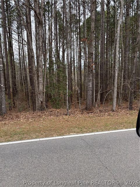 Photo of Mcpherson Road, Sanford, NC 27330 (MLS # 759459)