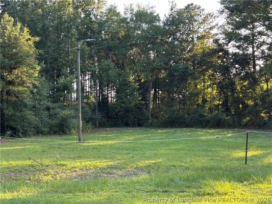 595 SHAW RD, SAINT PAULS, NC 28384 - Image fdb921bd9b4c908a07f47d6db5db8d30/2473412828