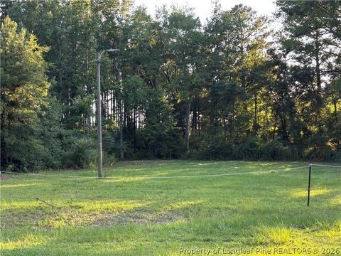 Photo of 595 Shaw Road, St Pauls, NC 28384 (MLS # 766046)