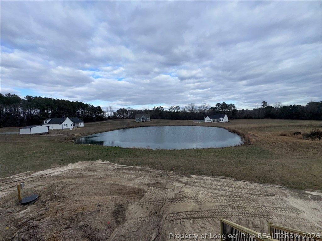 Photo of 2585 Sheriff Watson Road, Sanford, NC 27332 (MLS # 759311)