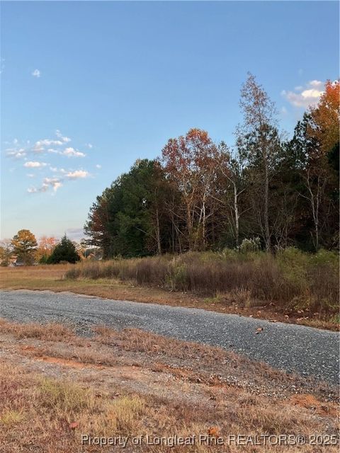 Tiny photo for NC 87 N TBD Hwy 87 N Highway, Sanford, NC 27330 (MLS # 753019)