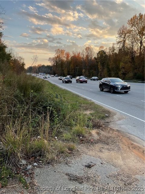 Tiny photo for NC 87 N TBD Hwy 87 N Highway, Sanford, NC 27330 (MLS # 753019)