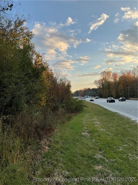 Tiny photo for NC 87 N TBD Hwy 87 N Highway, Sanford, NC 27330 (MLS # 753019)