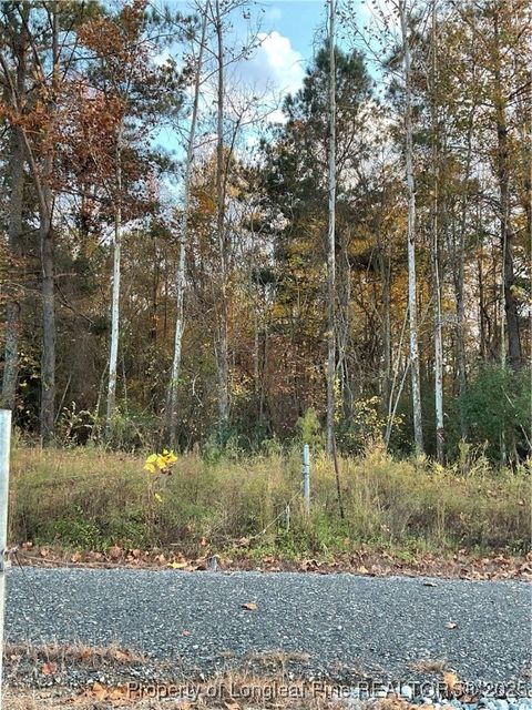 Tiny photo for NC 87 N TBD Hwy 87 N Highway, Sanford, NC 27330 (MLS # 753019)