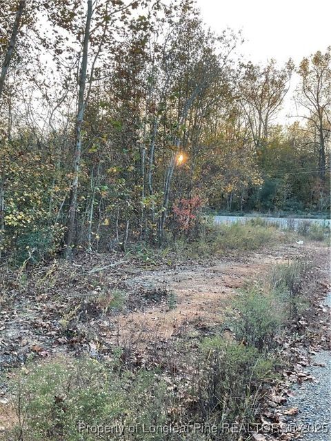 Tiny photo for NC 87 N TBD Hwy 87 N Highway, Sanford, NC 27330 (MLS # 753019)