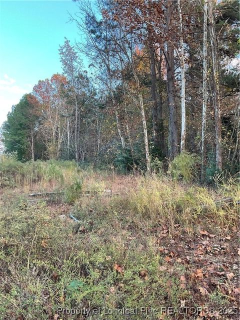 Tiny photo for NC 87 N TBD Hwy 87 N Highway, Sanford, NC 27330 (MLS # 753019)