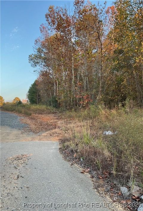 Tiny photo for NC 87 N TBD Hwy 87 N Highway, Sanford, NC 27330 (MLS # 753019)