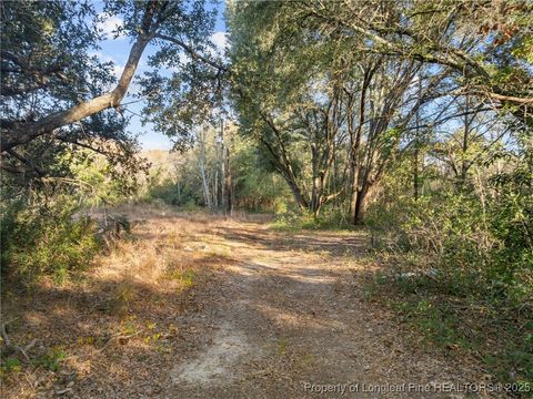 Photo of Doby Drive, Raeford, NC 28376 (MLS # 753821)