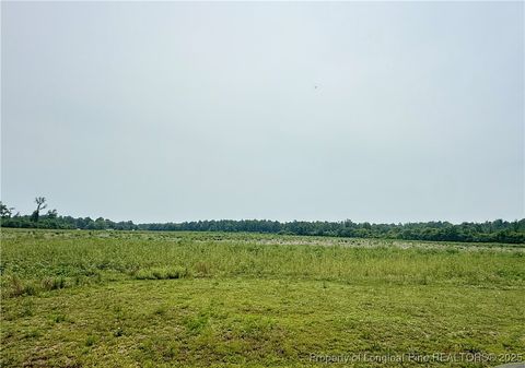 Tiny photo for 4075 Pleasant Hope Road, Fairmont, NC 28340 (MLS # 743374)