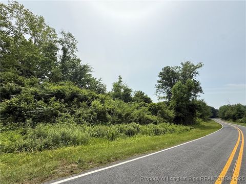 Tiny photo for 4075 Pleasant Hope Road, Fairmont, NC 28340 (MLS # 743374)