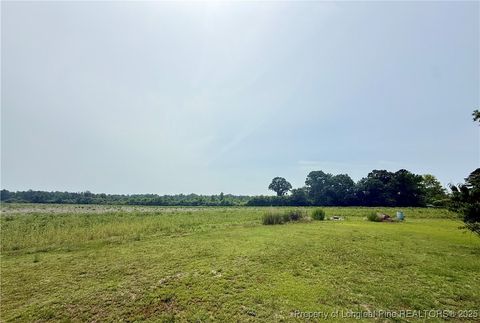 Tiny photo for 4075 Pleasant Hope Road, Fairmont, NC 28340 (MLS # 743374)