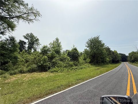 Tiny photo for 4075 Pleasant Hope Road, Fairmont, NC 28340 (MLS # 743374)