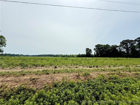 Tiny photo for 4075 Pleasant Hope Road, Fairmont, NC 28340 (MLS # 743374)