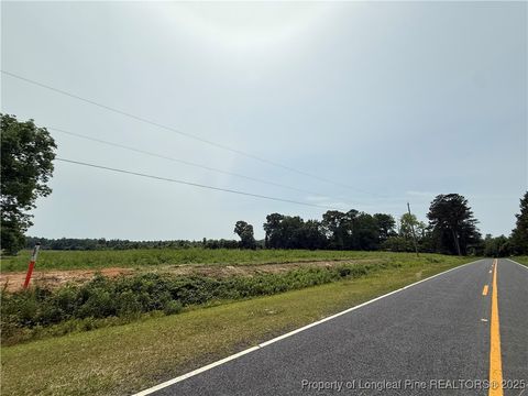 Tiny photo for 4075 Pleasant Hope Road, Fairmont, NC 28340 (MLS # 743374)