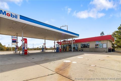 Tiny photo for 5105 N Fayetteville Road, Lumberton, NC 28360 (MLS # 753233)