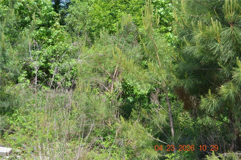 0 Sandfort Rd and 3rd St. South